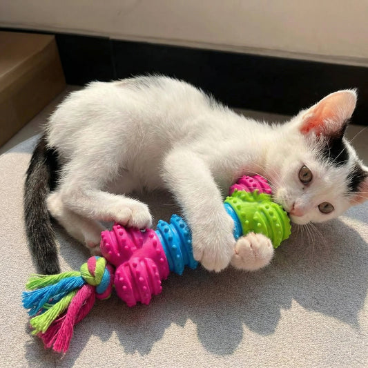 Meiowix® Ultra-Durable Braided Rope Cat Toy – Bite-Resistant Interactive Chew & Tug Toy with Textured Grip Sections