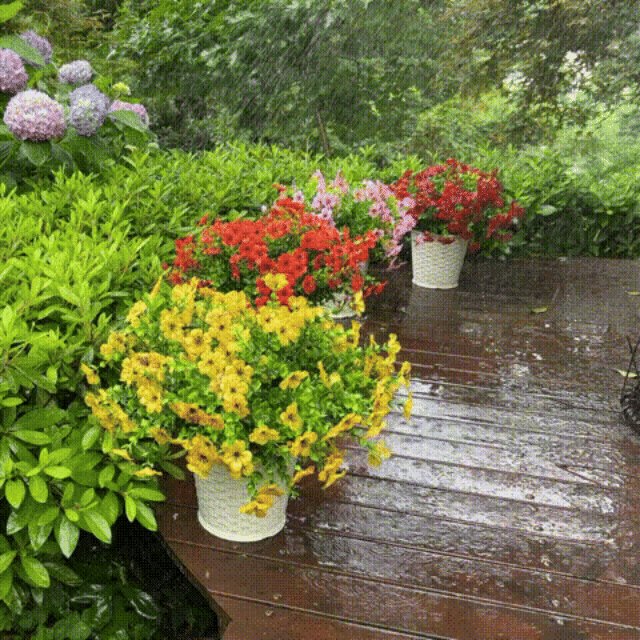 MIOWIX� UV-Resistant Outdoor Flowers | Zero Maintenance Color | 50% OFF Today