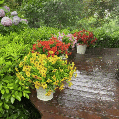 MIOWIX� UV-Resistant Outdoor Flowers | Zero Maintenance Color | 50% OFF Today