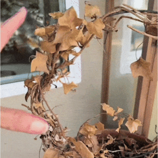 MIOWIX� UV-Resistant Outdoor Flowers | Zero Maintenance Color | 50% OFF Today