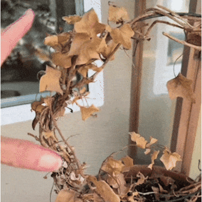 MIOWIX� UV-Resistant Outdoor Flowers | Zero Maintenance Color | 50% OFF Today