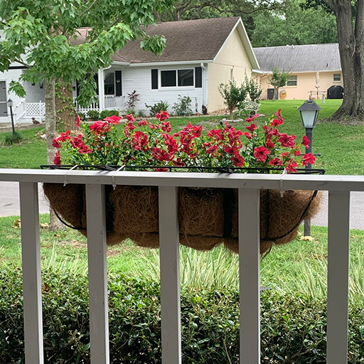 MIOWIX� UV-Resistant Outdoor Flowers | Zero Maintenance Color | 50% OFF Today
