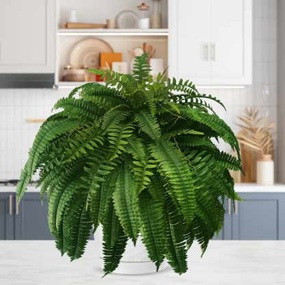 Miowix® UV-Resistant Lifelike Artificial Boston Fern | 50% OFF Today