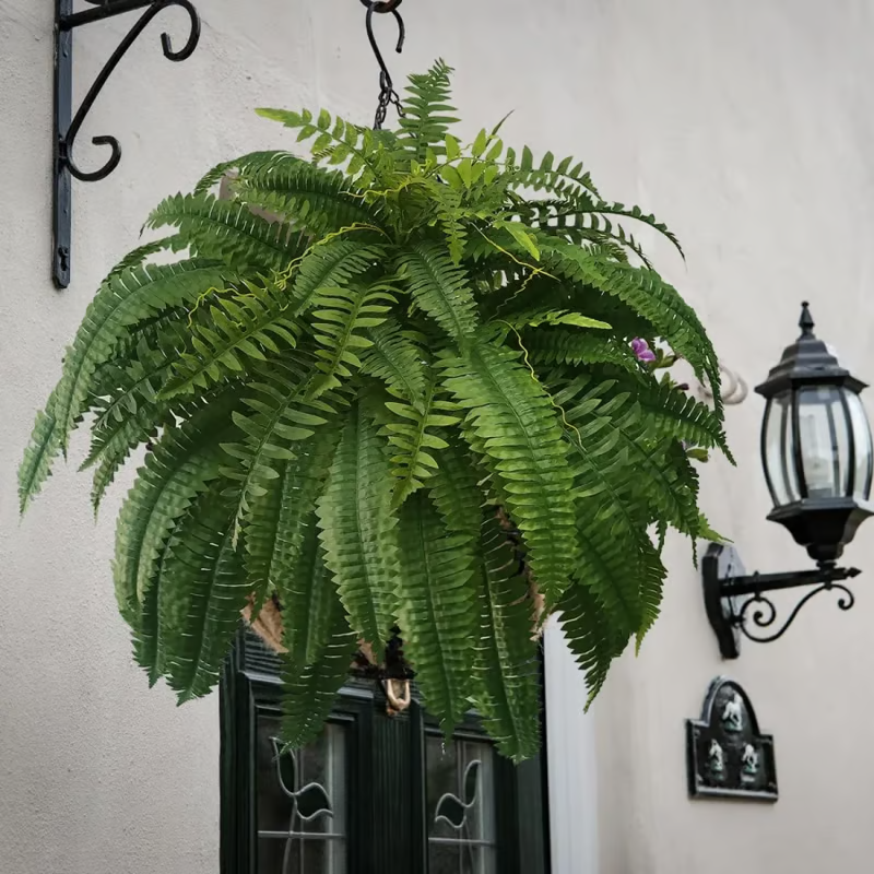 Miowix® UV-Resistant Lifelike Artificial Boston Fern | 50% OFF Today