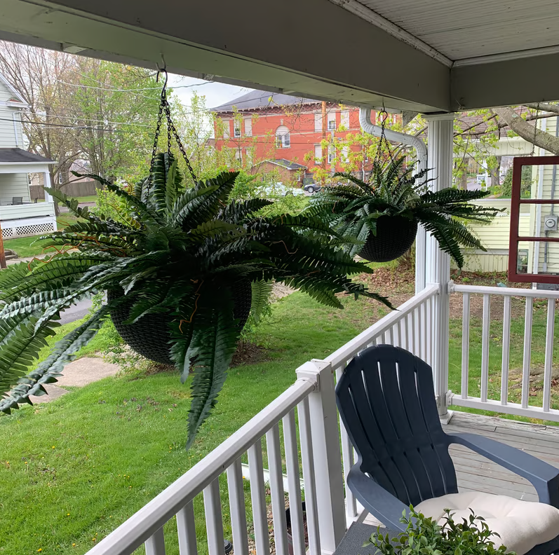 Miowix® UV-Resistant Lifelike Artificial Boston Fern | 50% OFF Today
