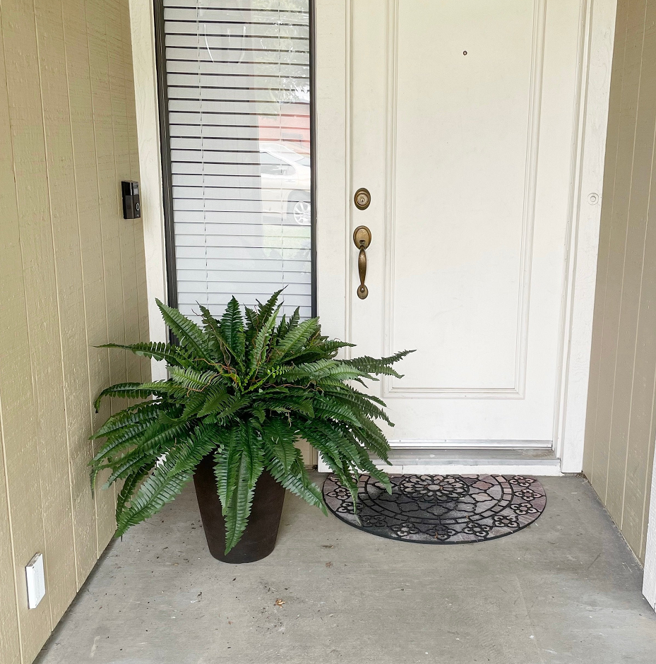 Miowix® UV-Resistant Lifelike Artificial Boston Fern | 50% OFF Today