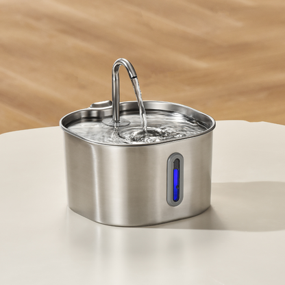 MIOWIX® 2.2L Cat Water Fountain | 2-Month Filter Kit Included | 50% OFF Today