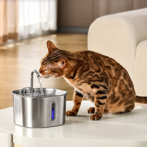 MIOWIX® 2.2L Cat Water Fountain | 2-Month Filter Kit Included | 50% OFF Today