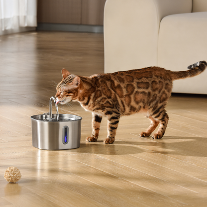 MIOWIX® 2.2L Cat Water Fountain | 2-Month Filter Kit Included | 50% OFF Today
