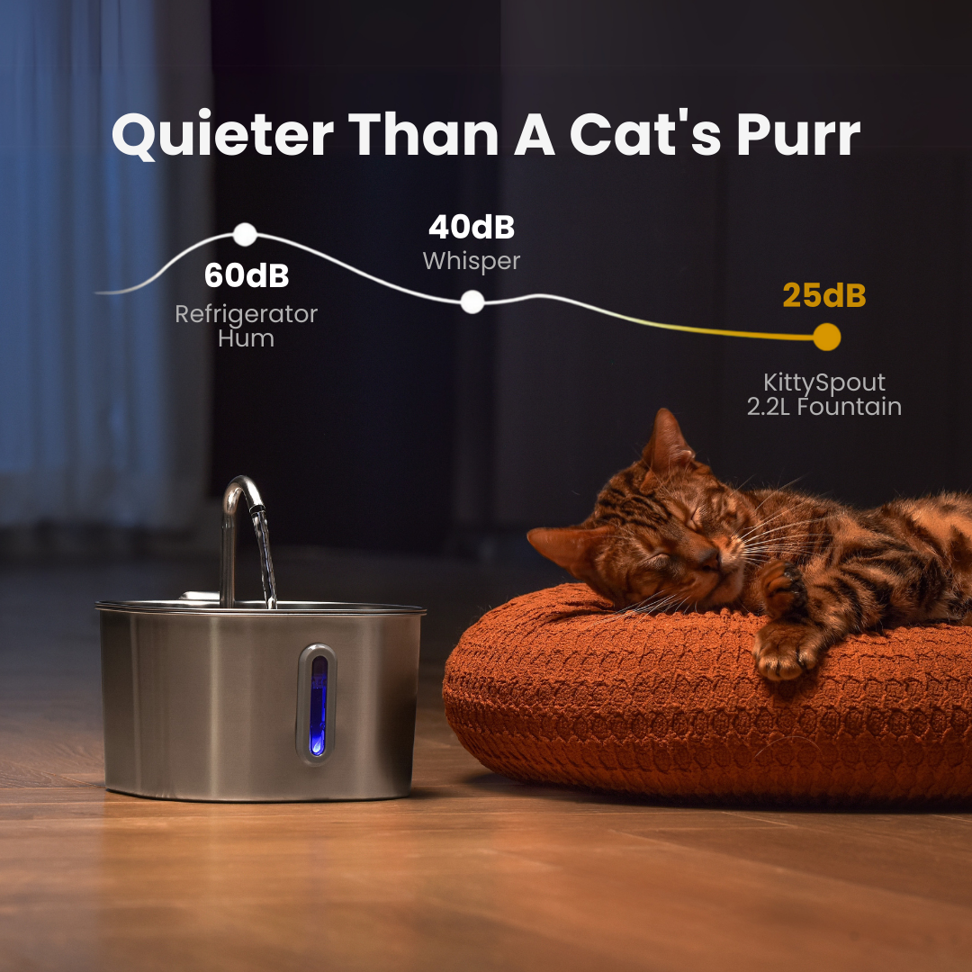 MIOWIX® 2.2L Cat Water Fountain | 2-Month Filter Kit Included | 50% OFF Today