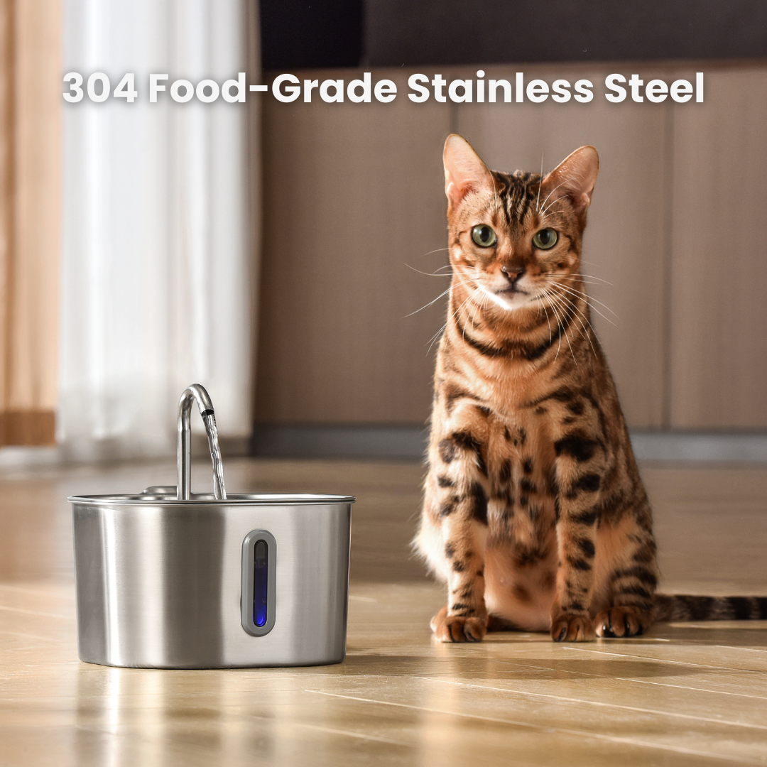MIOWIX® 2.2L Cat Water Fountain | 2-Month Filter Kit Included | 50% OFF Today