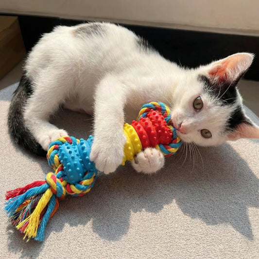 Meiowix® Ultra-Durable Braided Rope Cat Toy – Bite-Resistant Interactive Chew & Tug Toy with Textured Grip Sections